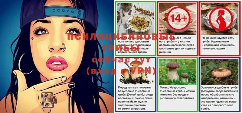 Галлюциногенные грибы Magic Shrooms  blacksprut как зайти  Саров 